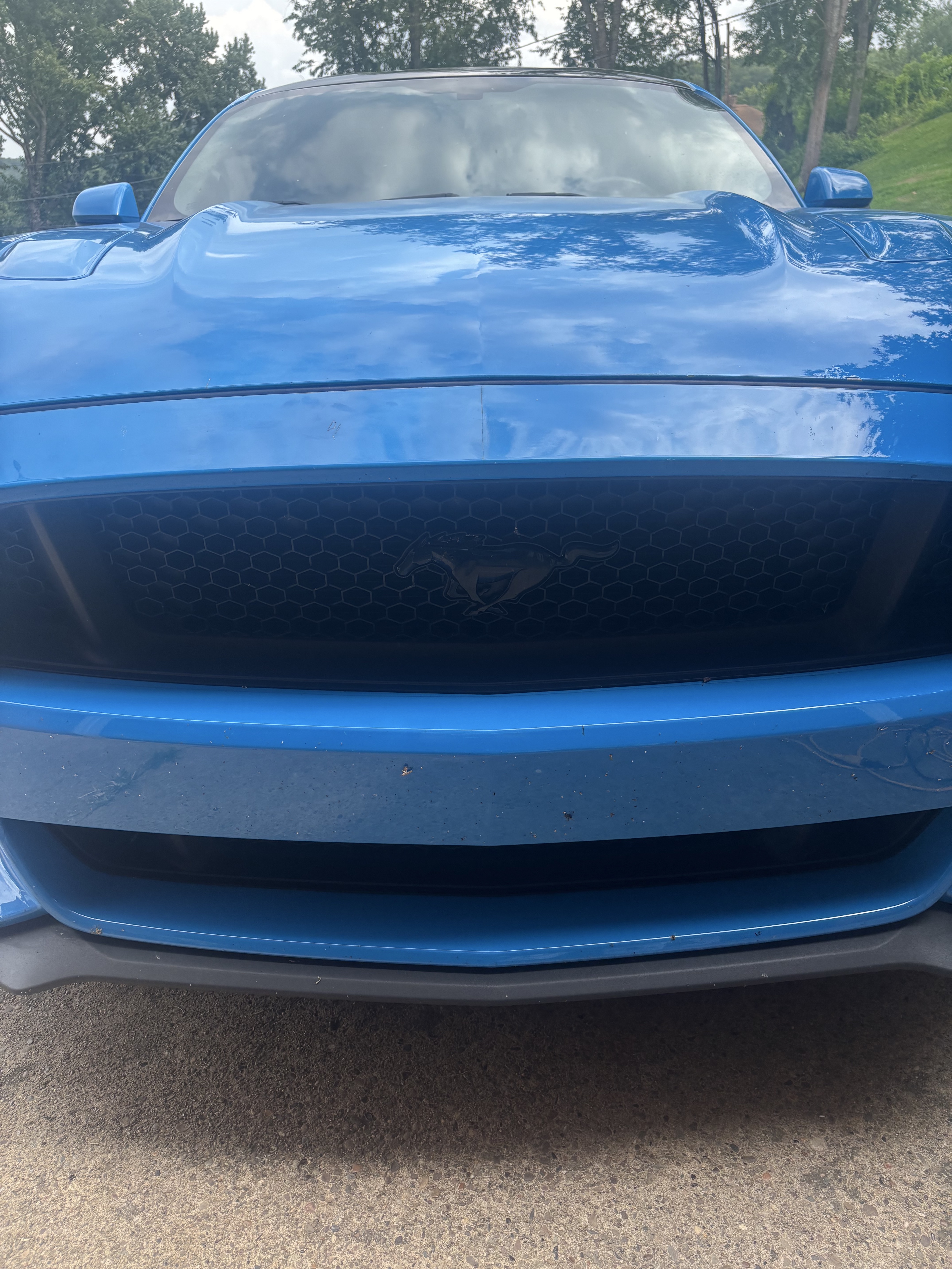 Before Mustang Front